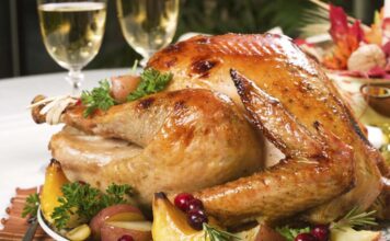 Unique Elephant Experience in Botswana